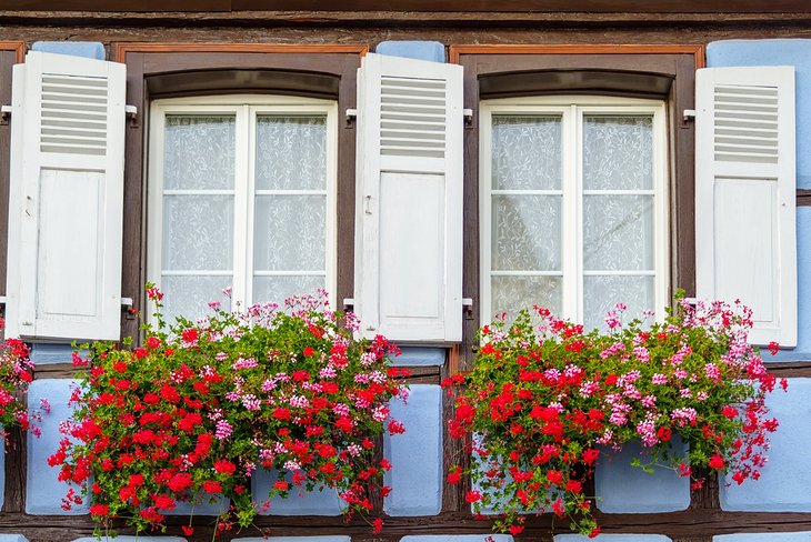 Admira las flores en los pueblos Fleuris de Alsacia