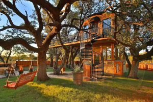 Alquileres de Casas en el Árbol en Texas