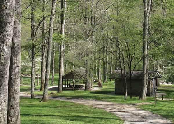 Appletree Group Campground
