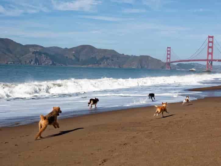 Baker Beach San Francisco playas nuditas