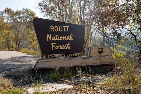 Bosque Nacional Routt-Bosques Nacionales en Colorado