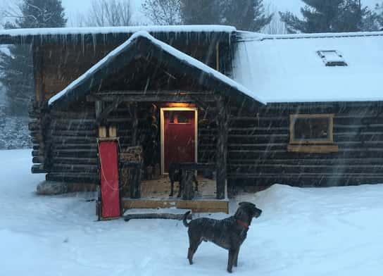 Cabaña de troncos construida a mano con actualizaciones modernas-Cabañas que Admiten Mascotas en Adirondacks