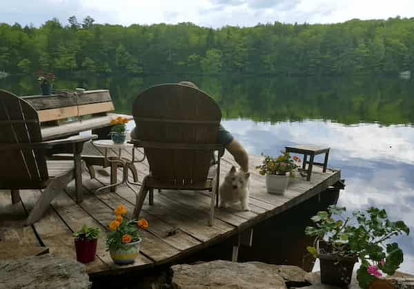 Cabaña frente al lago con muelle privado-Cabañas que Admiten Mascotas en Maine