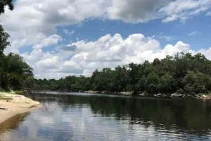 Cabañas en Florida con ríos - Red Bird Cabin-6
