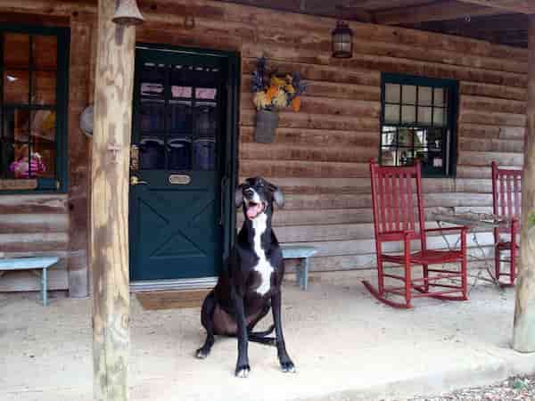 Cabina Moondance-Cabañas que Admiten Mascotas en Texas