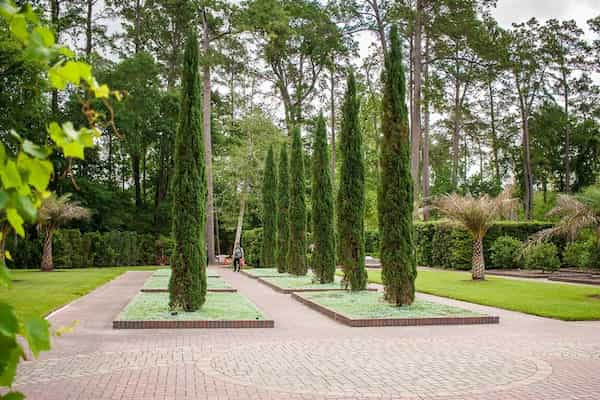Camine por el Houston Arboretum & Nature Center