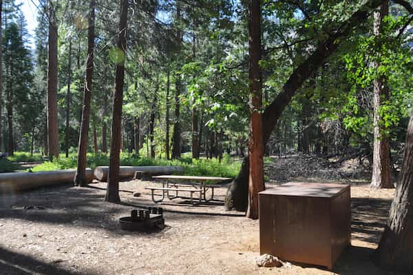 Campamento Pines-Camping en Medicine Bow-Routt y Thunder Basin