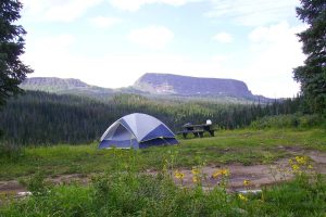 Camping en Medicine Bow-Routt y Thunder Basin