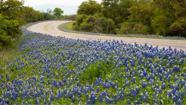 Willow City Loop-Recorridos Panorámicos de Texas