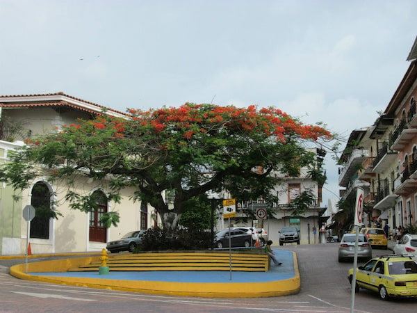 Cosmopolita ciudad de Panamá 3