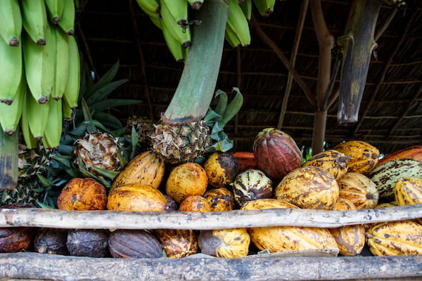 Descubre el origen de los irresistibles sabores dominicanos