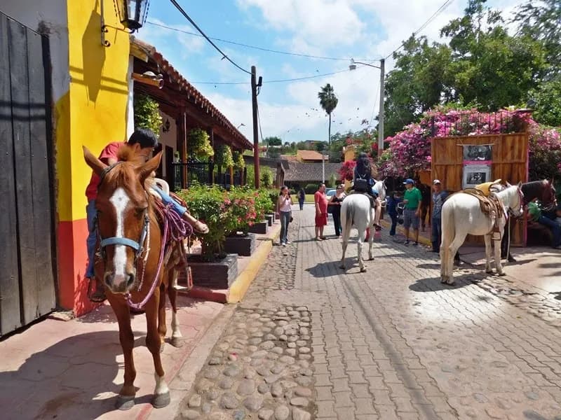 El Quelite Mazatlán-caballos