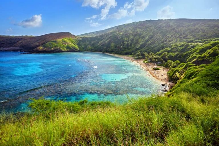 Visita la Espectacular Bahía de Hanauma en Hawaii 2024