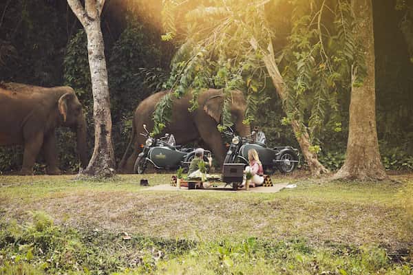 Elefantes en el Triángulo Dorado de Tailandia