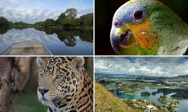 Colombia la segunda nación más biodiversa del mundo
