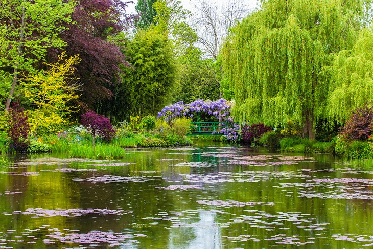Estudiar arte en los jardines de Monet en Giverny