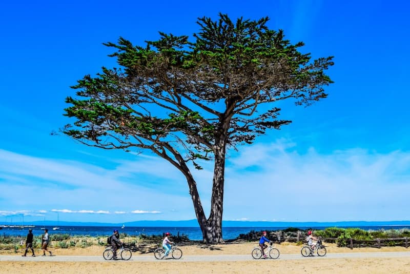 Explora el área de la bahía de Monterey
