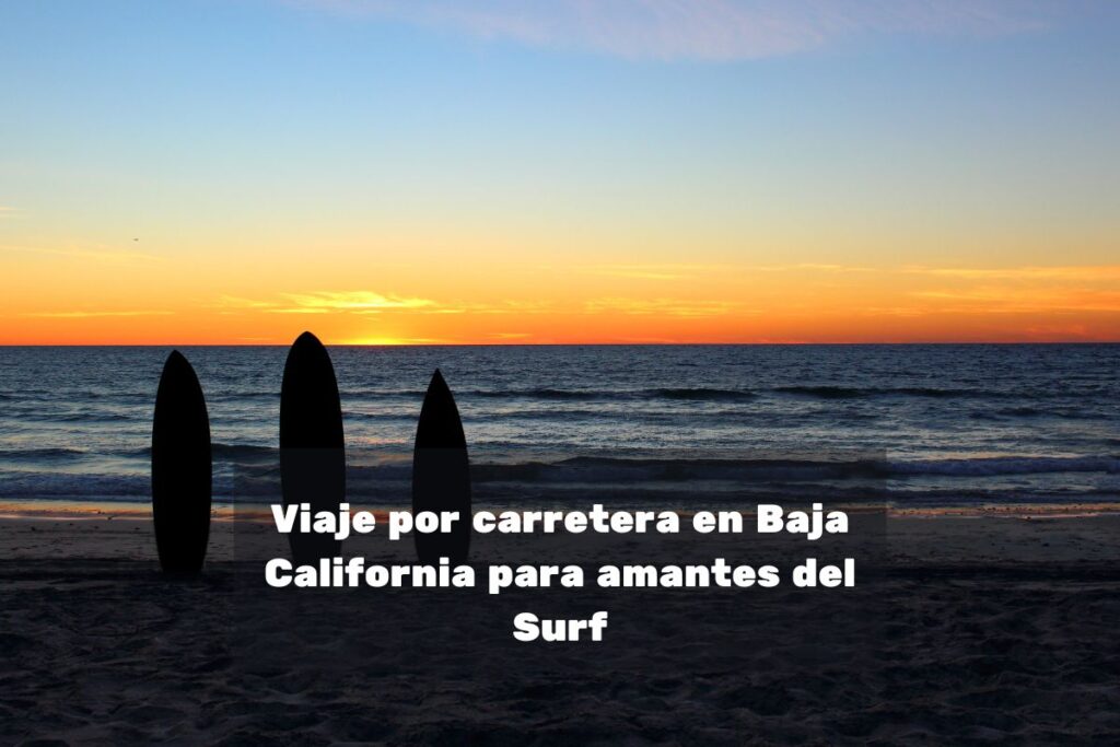 Explorando los Tesoros de Baja California SUrfs