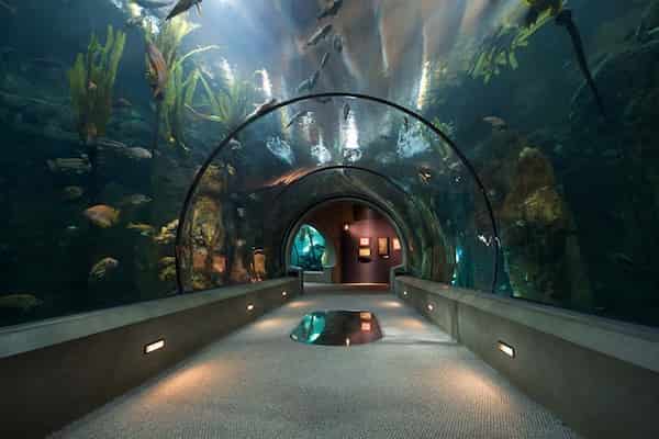 Haga un viaje al acuario-Actividades al Aire Libre en Lincoln City