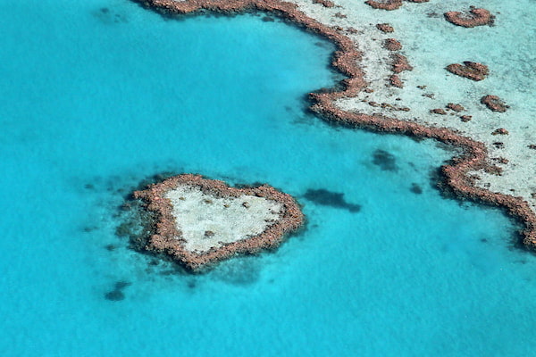 Heart Reef-Experiencias románticas en Australia 4.1