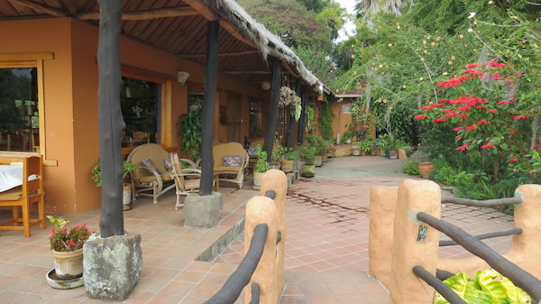 Hotel Bambú Jardín 7