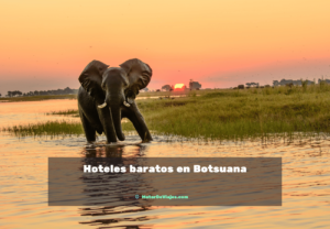 Hoteles en Botsuana