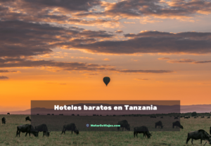 Hoteles en Tanzania
