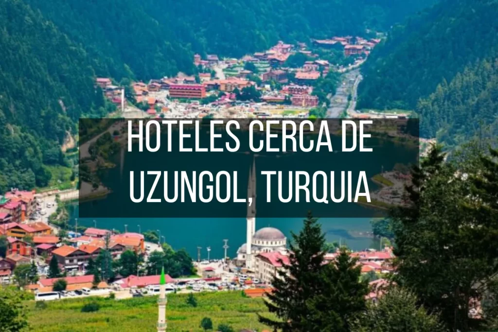 Hoteles cerca de Uzungol Turquía