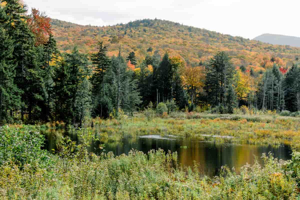 Increíbles recorridos panorámicos de Vermont en Cualquier Temporada