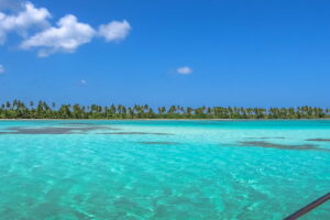 Isla Saona en República Dominicana Ícono de la belleza paradisíaca
