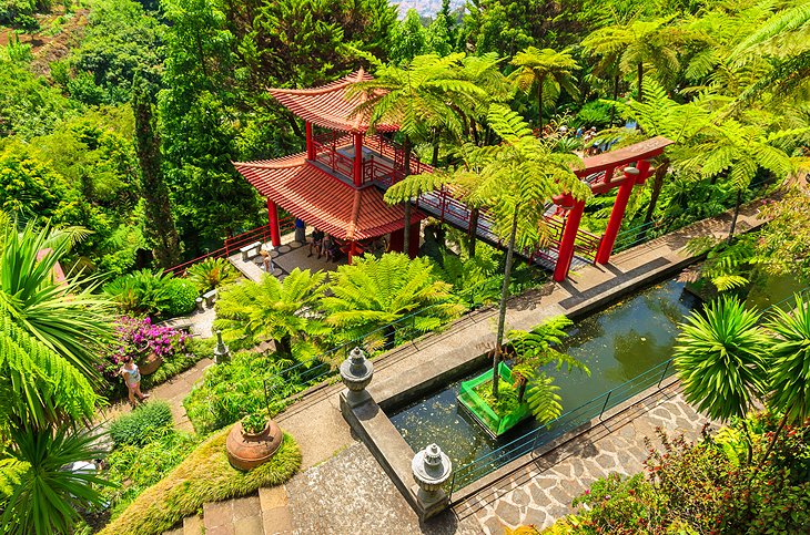 Jardim Tropical Monte Palace (Jardines Tropicales de Monte Palace)