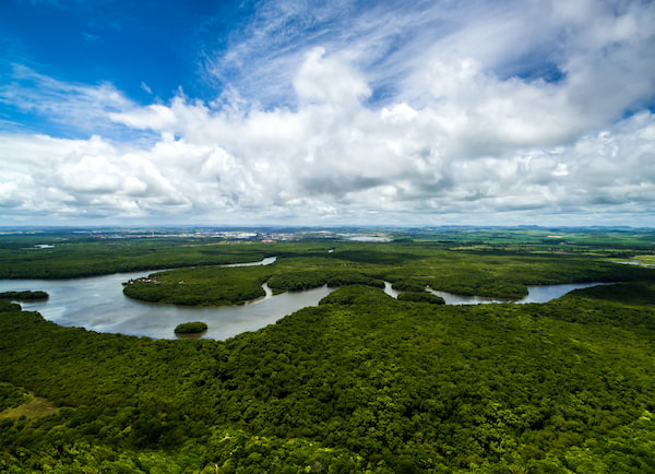 La cuenca del Amazonas 7
