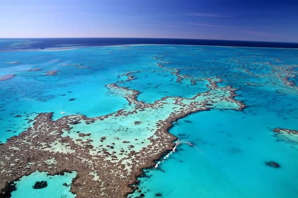 La diferencia de tamaños cambia la experiencia-Gran Barrera de Coral Vs Barrera de arrecife de Belice