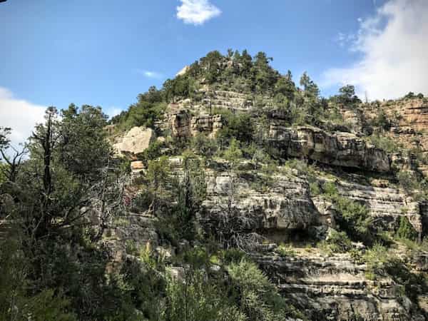 La variedad de la vida vegetal-Monumento Nacional Walnut Canyon