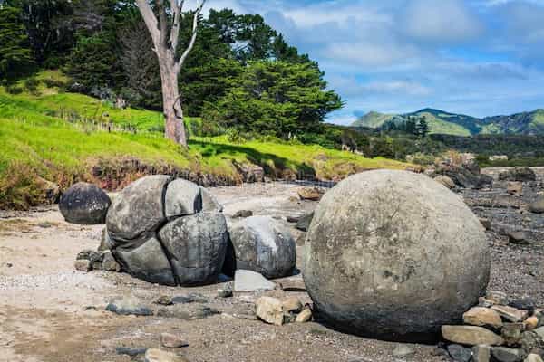 Las formas y los tamaños son asombrosos-Koutu Boulders-Rocas del Norte de Nueva Zelanda