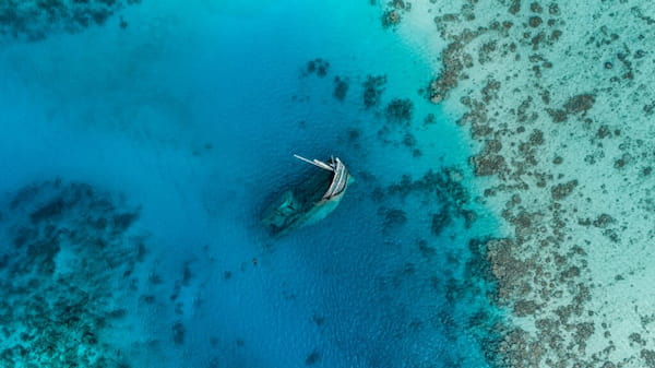 Los arrecifes están cambiando-Visitar las Maldivas