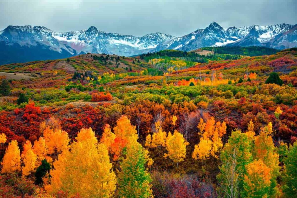 Lugares para VER los Colores del Otoño en Colorado