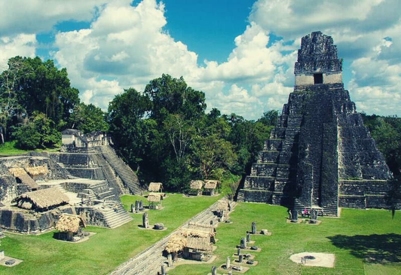 Mayas Todavía Usan La Selva Como Su Farmacia