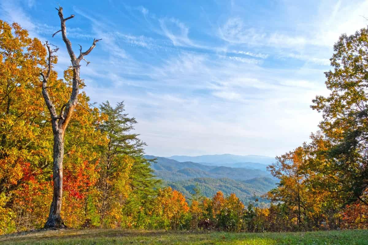 12 Mejores Lugares para VER los Colores de Otoño en Tennessee 