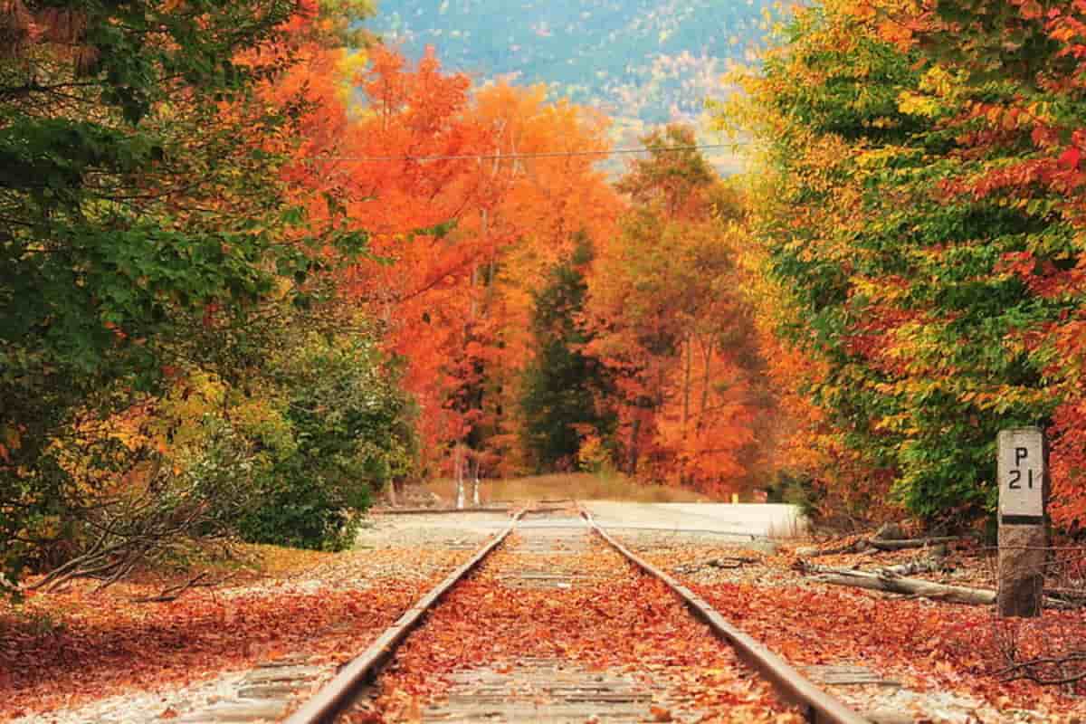 9 Mejores Lugares para Ver los Colores de Otoño en New Hampshire
