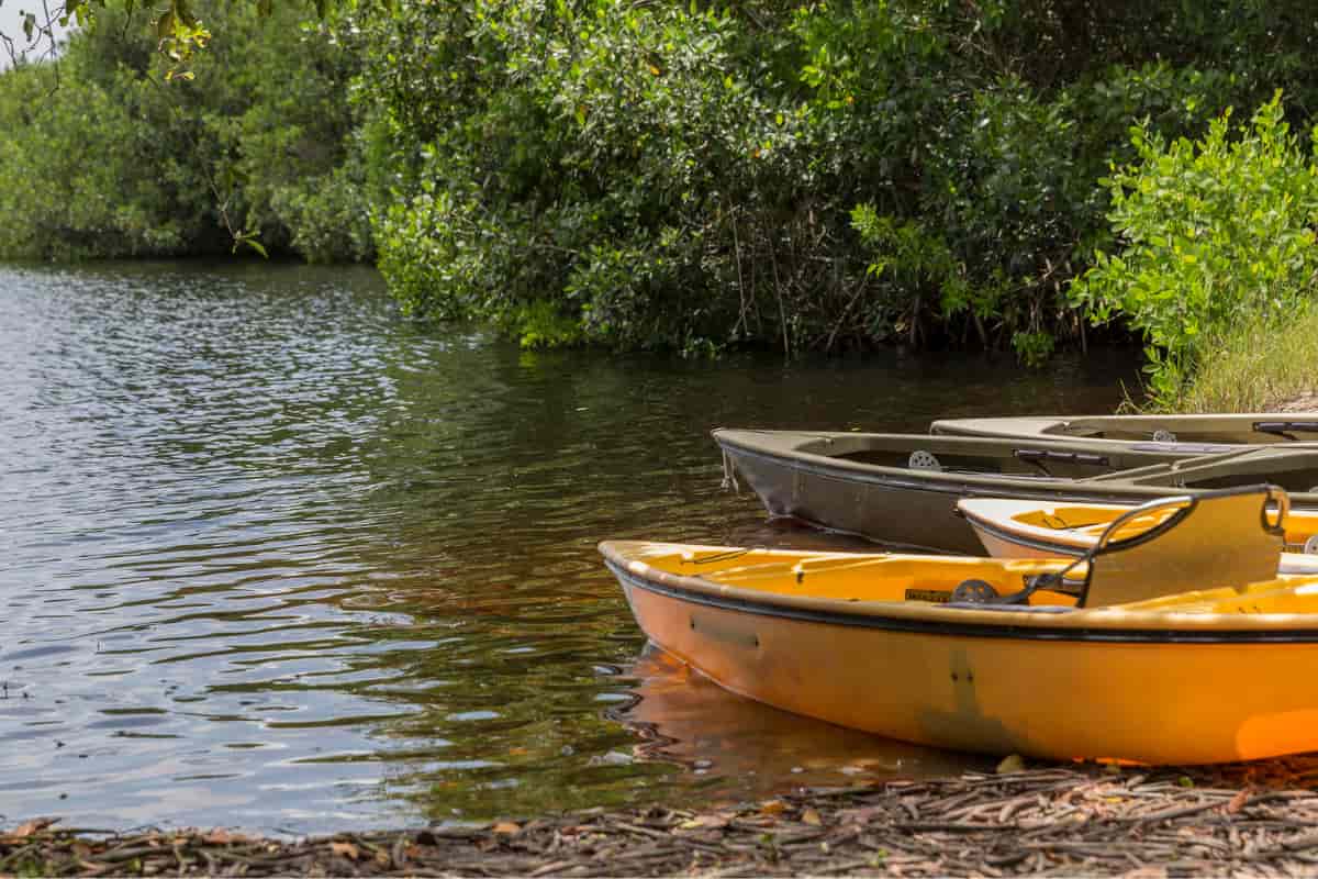Mejores prácticas para equipar tu canoa para la pesca