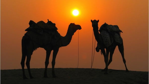 Mira la puesta de sol sobre las dunas con un safari nocturno por el desierto 