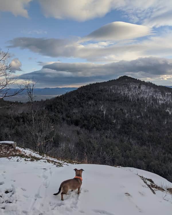 Montaña puntiaguda-caminar con raquetas de nieve en New Hampshire