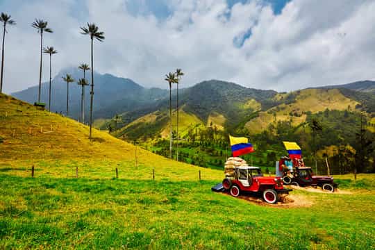 Montar un jeep Willys al Valle de Cocora-Actividades para Hacer en Colombia