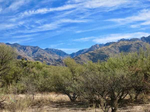 Parque Estatal Catalina-Experiencias más destacadas en Oro Valley