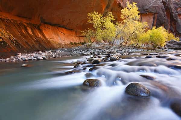 Parque Nacional Zion-Lugares para ver los Colores del Otoño en Utah