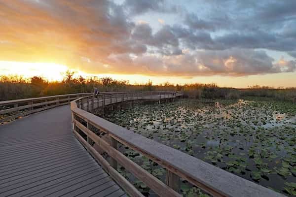 Parque Nacional de los Everglades-parques naturales para visitar en diciembre