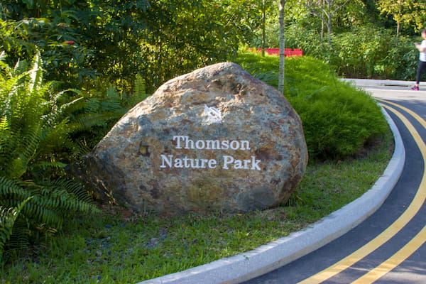 Parque Natural Thomson mejores caminatas en singapur 6