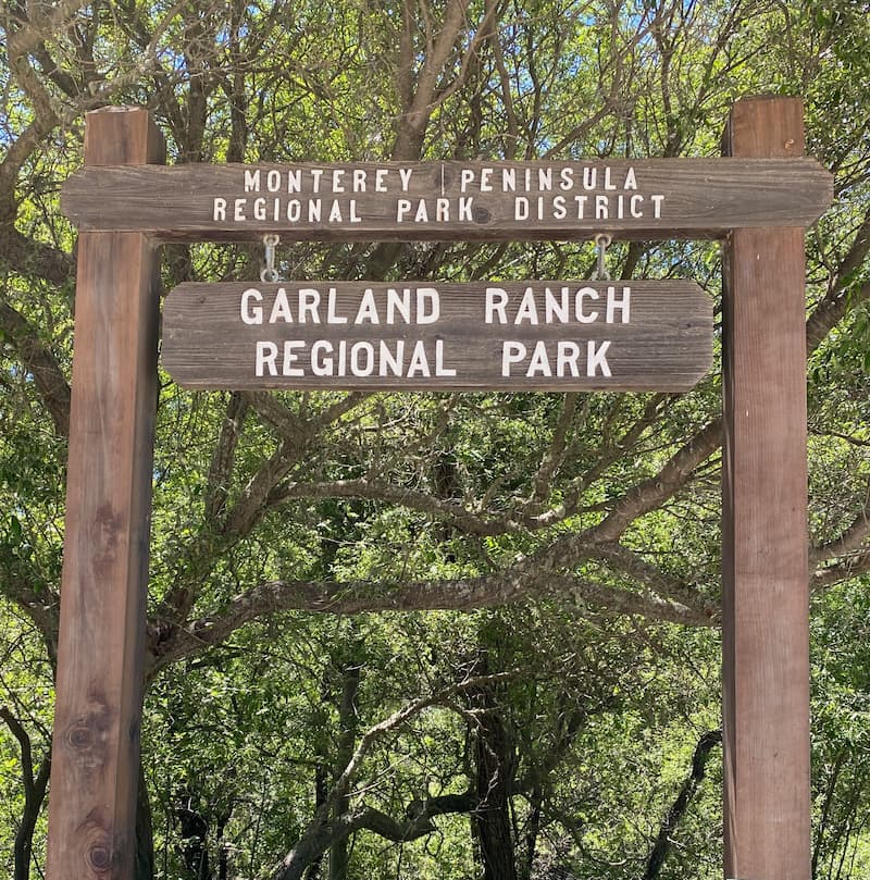 Parque Regional Garland Ranch-aves alrededor de la bahía de Monterey