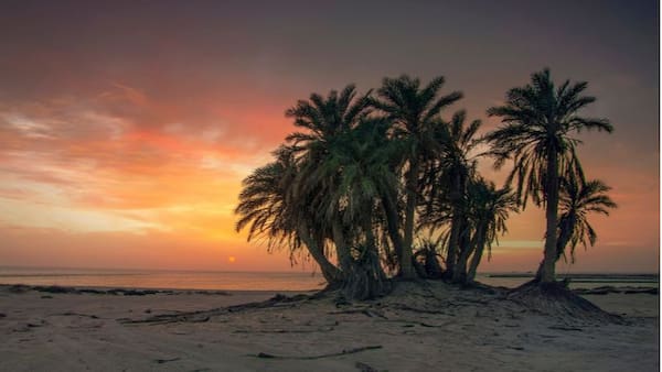 Playa Umm Bab-Playas y Piscinas de Qatar